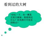 教科小学科学三上《1.1.我看到了什么》PPT课件(11)