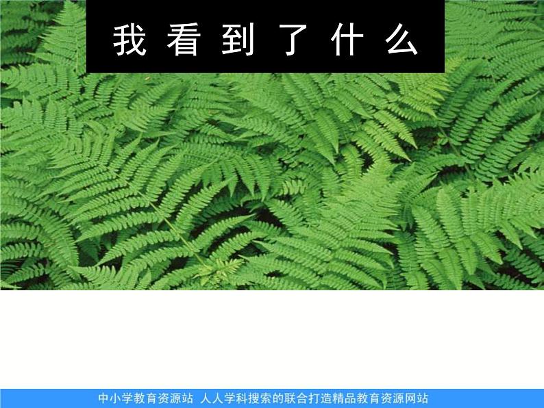 教科小学科学三上《1.1.我看到了什么》PPT课件(2)第1页