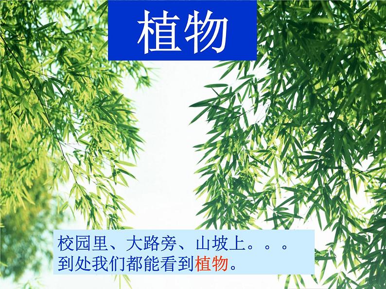 教科小学科学三上《1.1.我看到了什么》PPT课件(14)第1页