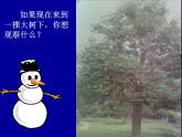教科小学科学三上《1.1.我看到了什么》PPT课件(15)