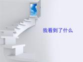 教科小学科学三上《1.1.我看到了什么》PPT课件(13)
