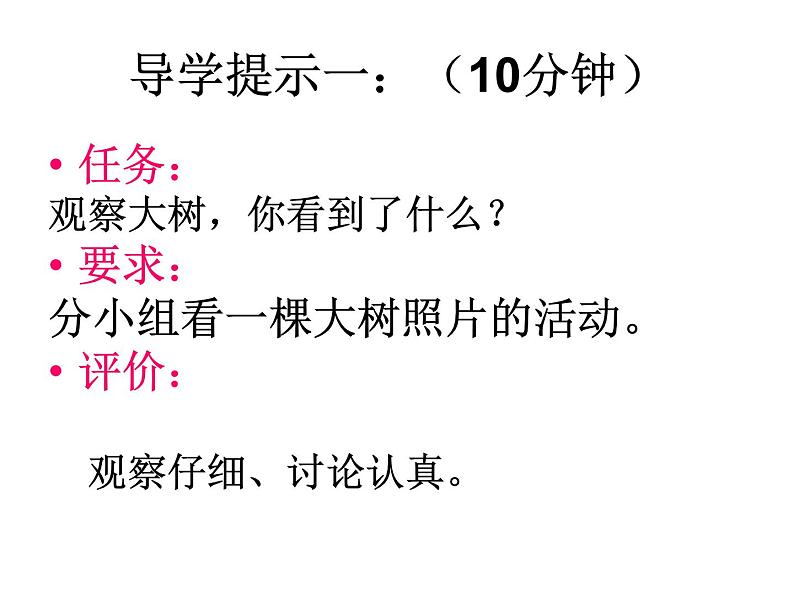 教科小学科学三上《1.1.我看到了什么》PPT课件(6)02