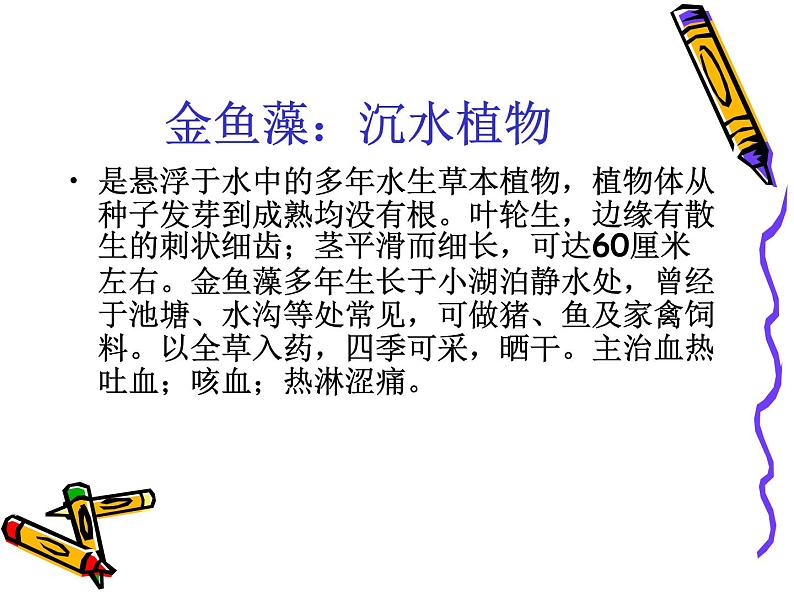 教科小学科学三上《1.4、观察水生植物》PPT课件(4)05