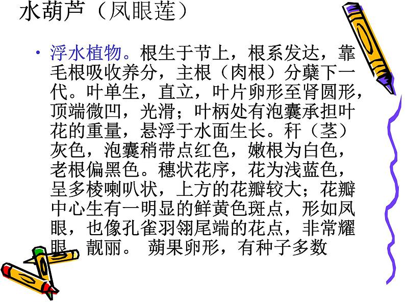 教科小学科学三上《1.4、观察水生植物》PPT课件(4)08