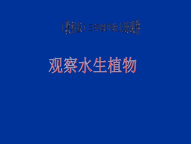 教科小学科学三上《1.4、观察水生植物》PPT课件(5)02