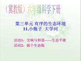 冀教小学科学六下册《11小瓶子大学问》PPT课件 (2)