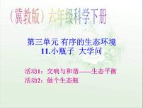 小学科学冀教版六年级下册第三单元 有序的生态系统11 小瓶子大学问课前预习ppt课件