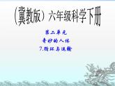 冀教小学科学六下册《7循环与运输》PPT课件