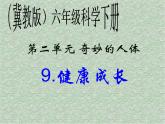 冀教小学科学六下册《9健康成长》PPT课件