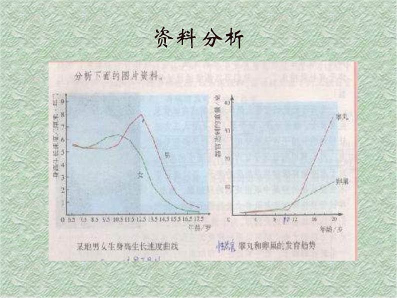 冀教小学科学六下册《9健康成长》PPT课件第5页