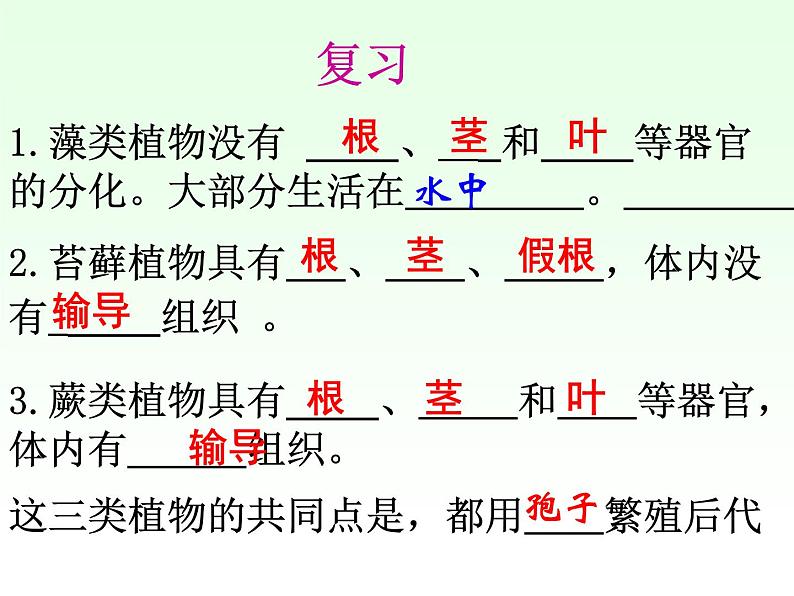 人教小学科学2.1植物的种子课件01