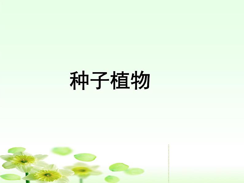 人教小学科学2.1植物的种子课件02