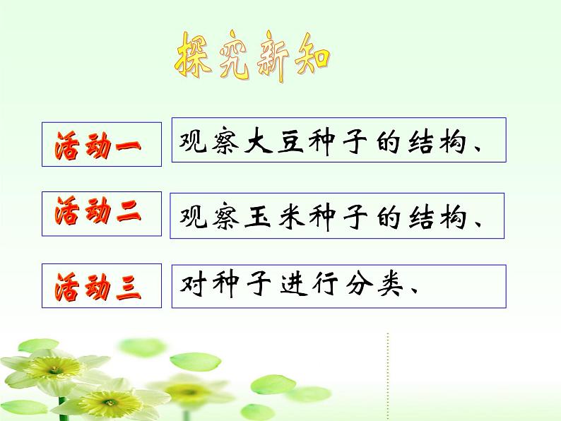 人教小学科学2.1植物的种子课件03