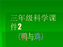 2020-2021学年20 鸭与鸡课文配套课件ppt