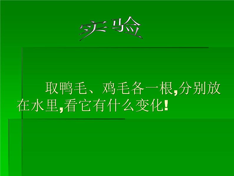 鄂教版小学科学三上《20鸭与鸡》PPT课件04