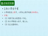 二年级下册科学课件- 第3单元 土壤与动植物 复习课件 -冀人版(共12张PPT)