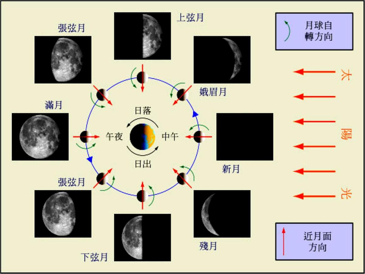 教科版（2001）科学六年级下册 3.2 月相变化 (1)（课件）第7页