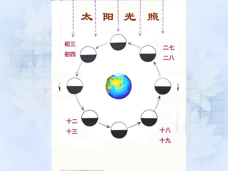 教科版（2001）科学六年级下册 3.2  月相变化 2（课件）04