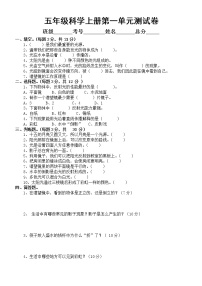 小学科学教科版 (2017)五年级上册光综合与测试同步达标检测题