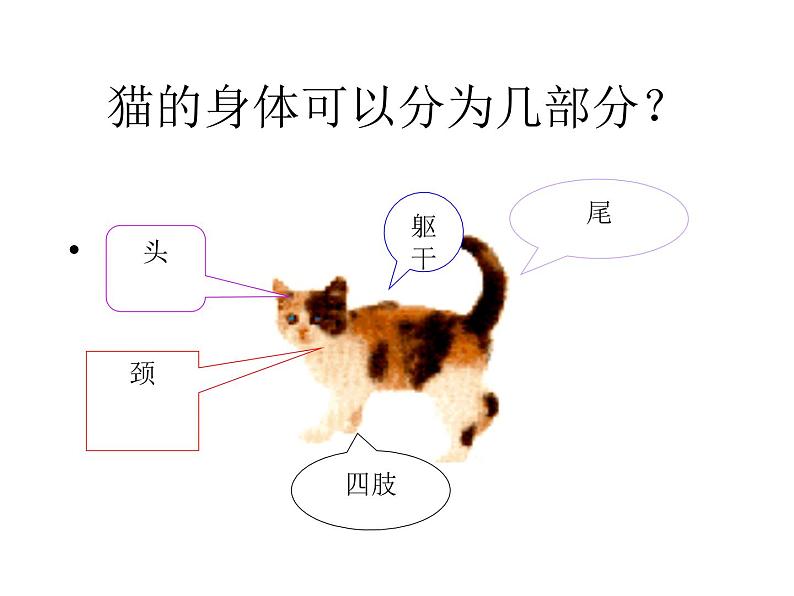 鄂教版小学科学三上《22兔与猫》PPT课件第4页