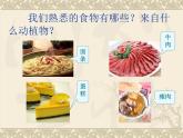 鄂教版小学科学三上《3食物从哪里来》PPT课件(2)