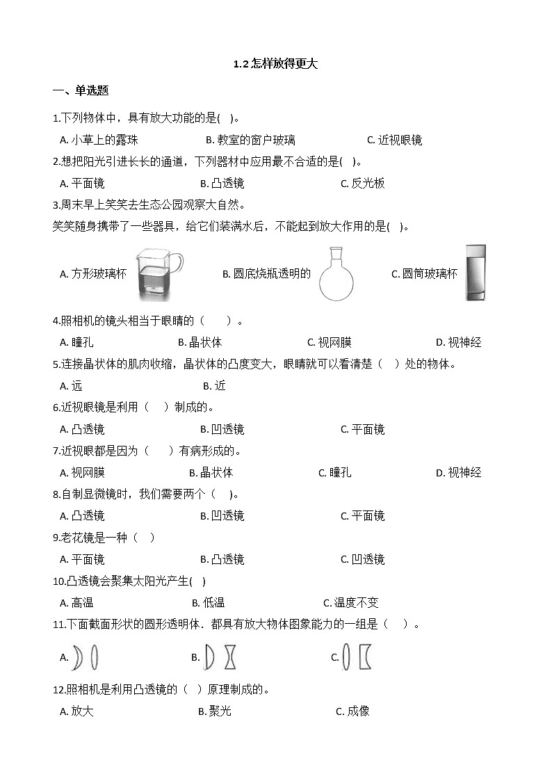教科版  科学 六年级上册 1.2 怎样放得更大 同步练习01