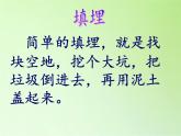 教科版科学六年级下册 4.2 垃圾的处理 课件