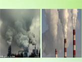 教科版科学六年级下册 4.8 环境问题和我们的行动(2) 课件