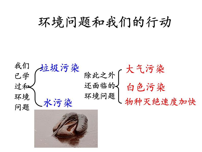 教科版科学六年级下册 4.8 环境问题和我们的行动(28) 课件第7页