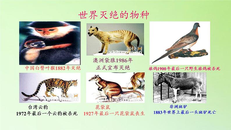 教科版科学六年级下册 4.8 环境问题和我们的行动(18) 课件第2页