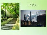 教科版科学六年级下册 4.8 环境问题和我们的行动(23) 课件