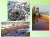 教科版科学六年级下册 4.6 污水和污水处理(2) 课件