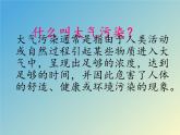 教科版科学六年级下册 4.8 环境问题和我们的行动(10) 课件