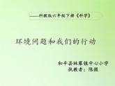 教科版科学六年级下册 4.8 环境问题和我们的行动(33) 课件