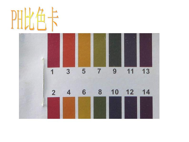 教科版科学六年级下册 4.7 考察家乡的自然水域 2 课件第8页