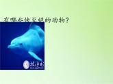 教科版科学六年级下册 4.8 环境问题和我们的行动(27) 课件