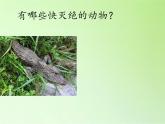 教科版科学六年级下册 4.8 环境问题和我们的行动(27) 课件