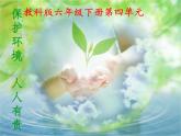 教科版科学六年级下册 4.8 环境问题和我们的行动(7) 课件