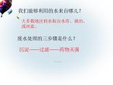 教科版科学六年级下册 4.8 环境问题和我们的行动_ 课件