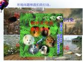 教科版科学六年级下册 4.8 环境问题和我们的行动_ 课件