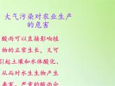教科版科学六年级下册 4.8 环境问题和我们的行动(34) 课件