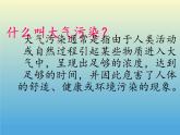 教科版科学六年级下册 4.8 环境问题和我们的行动(6) 课件