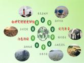 教科版科学六年级下册 4.8 环境问题和我们的行动(12) 课件