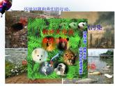 教科版科学六年级下册 4.8 《环境问题和我们的行动》 课件