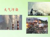 教科版科学六年级下册 4.8 环境问题和我们的行动(26) 课件