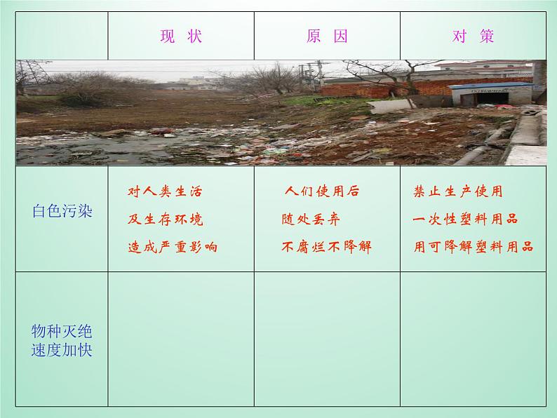 教科版科学六年级下册 4.8 环境问题和我们的行动_(1) 课件04