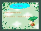 教科版科学六年级下册 4.8 环境问题和我们的行动(15) 课件