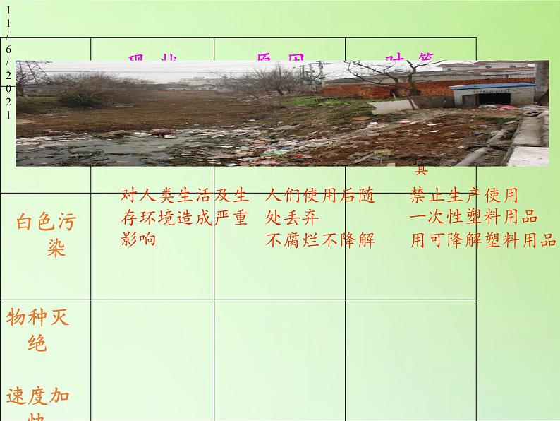 教科版科学六年级下册 4.8 环境问题和我们的行动(15) 课件第6页