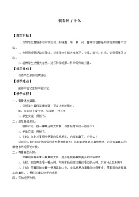 小学科学1、我看到了什么教案