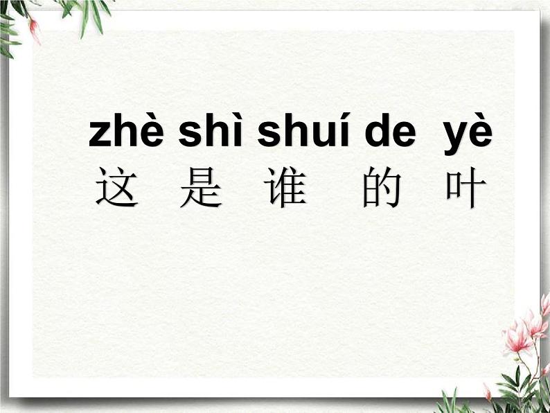 教科版（2017秋）一年级上册  这是谁的叶(2) 课件02